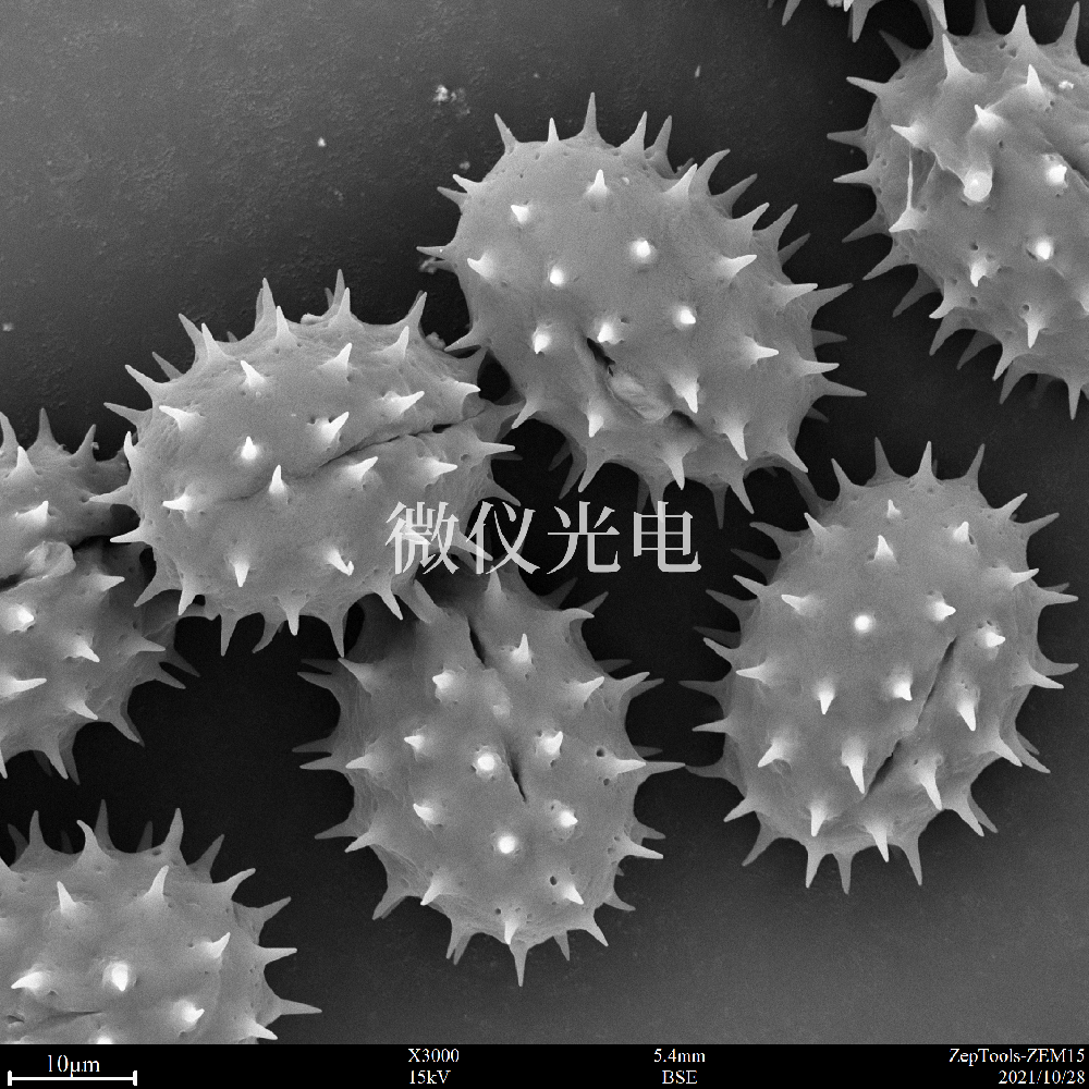 sem掃描電鏡的原理、組成、基本參數(shù)和應(yīng)用的介紹